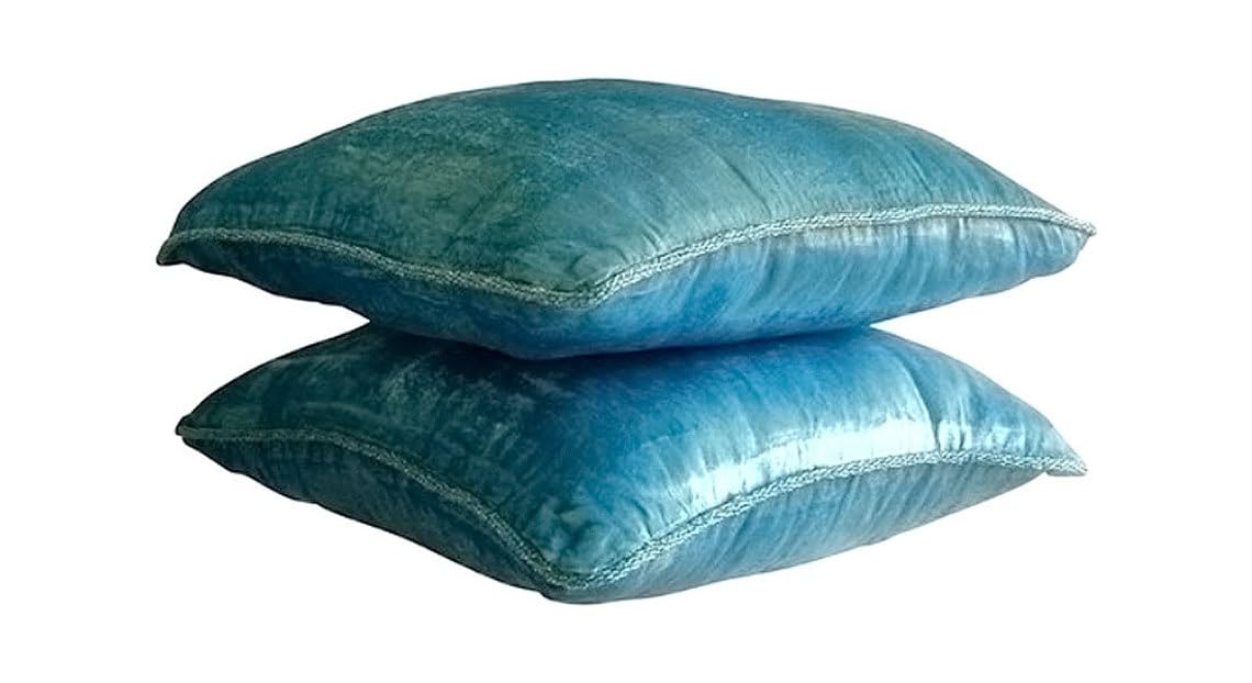 Velvet Decorative Pillow Cover