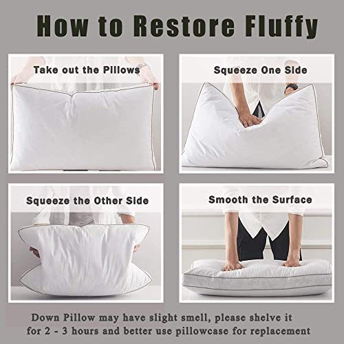 Cotton Shell Down Sleeping Pillow