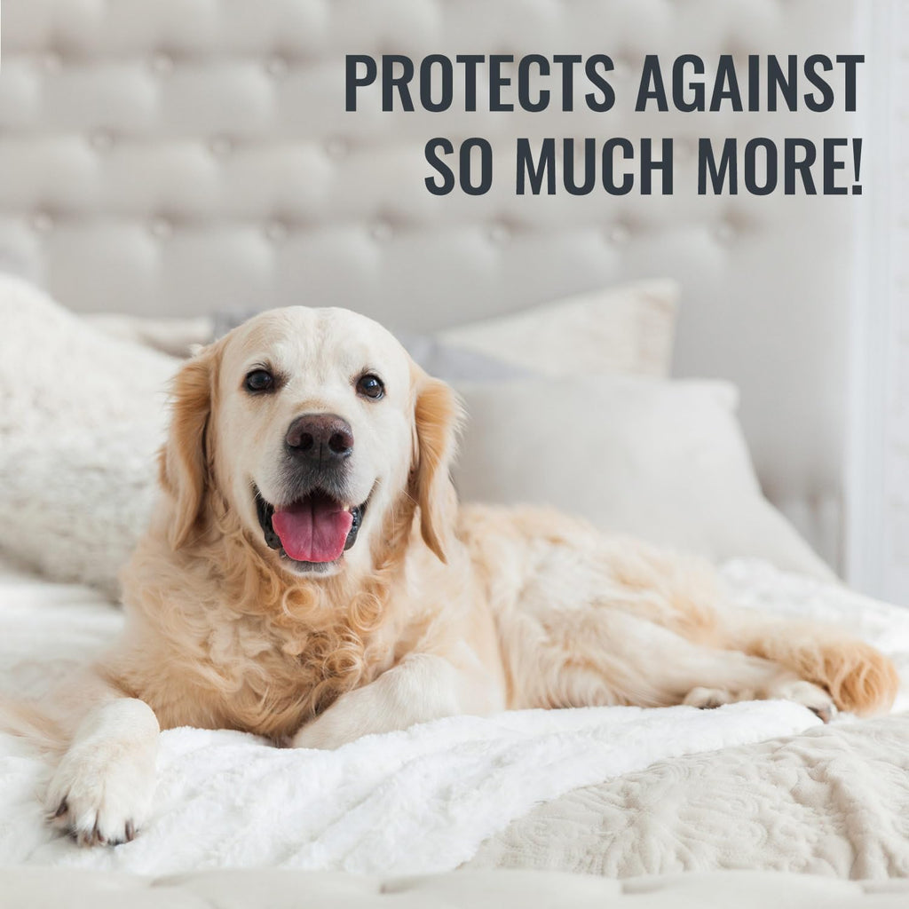 Waterproof Mattress Cover